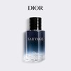 DIOR迪奥旷野男士淡香水100ml 商品缩略图1
