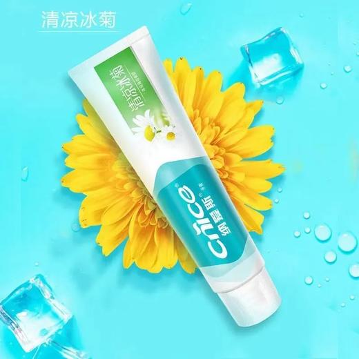 纳爱斯清凉菊花牙膏200g 商品图2