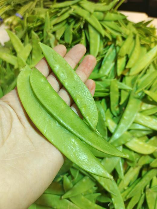 荷兰豆一斤 商品图1