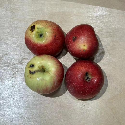 瑕疵苹果｜云南 商品图0