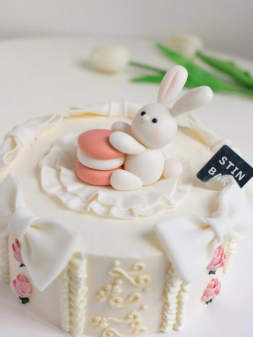 小兔子的蝴蝶花园 商品图1