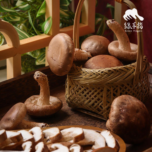 【总仓发】生态蘑菇份额 | 绿家自产* Share of ecological miscellaneous Mushroom | In-House Production 商品图4