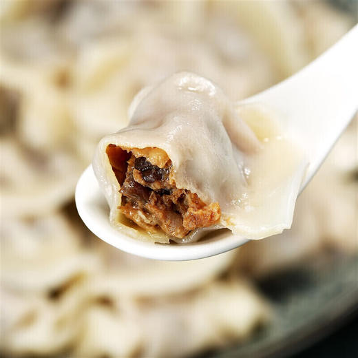 湾仔码头三鲜水饺 720g 商品图3