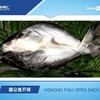 800-900g丰帆汇调理开背湄公鱼巴沙鱼18条【2C4下-18】 商品缩略图0