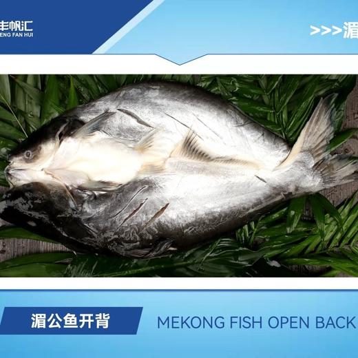 800-900g丰帆汇调理开背湄公鱼巴沙鱼18条【2C4下-18】 商品图0
