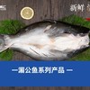800-900g丰帆汇调理开背湄公鱼巴沙鱼18条【2C4下-18】 商品缩略图1