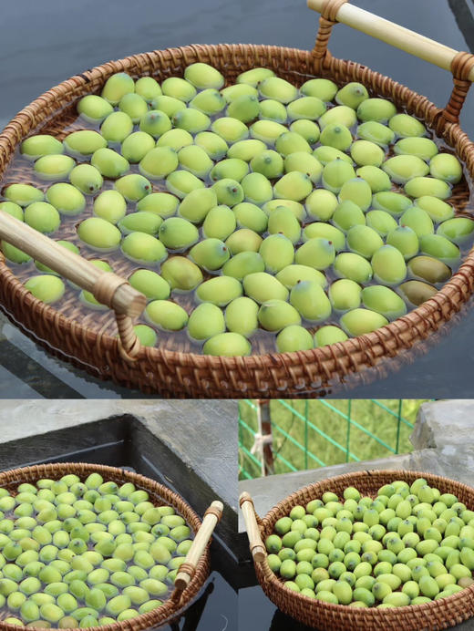 【江西广昌手工白莲子】地标性非遗传统手工制作  可生吃 无硫熏  冷水炖煮粉糯清香 入口即化 回归到农家本味 商品图12