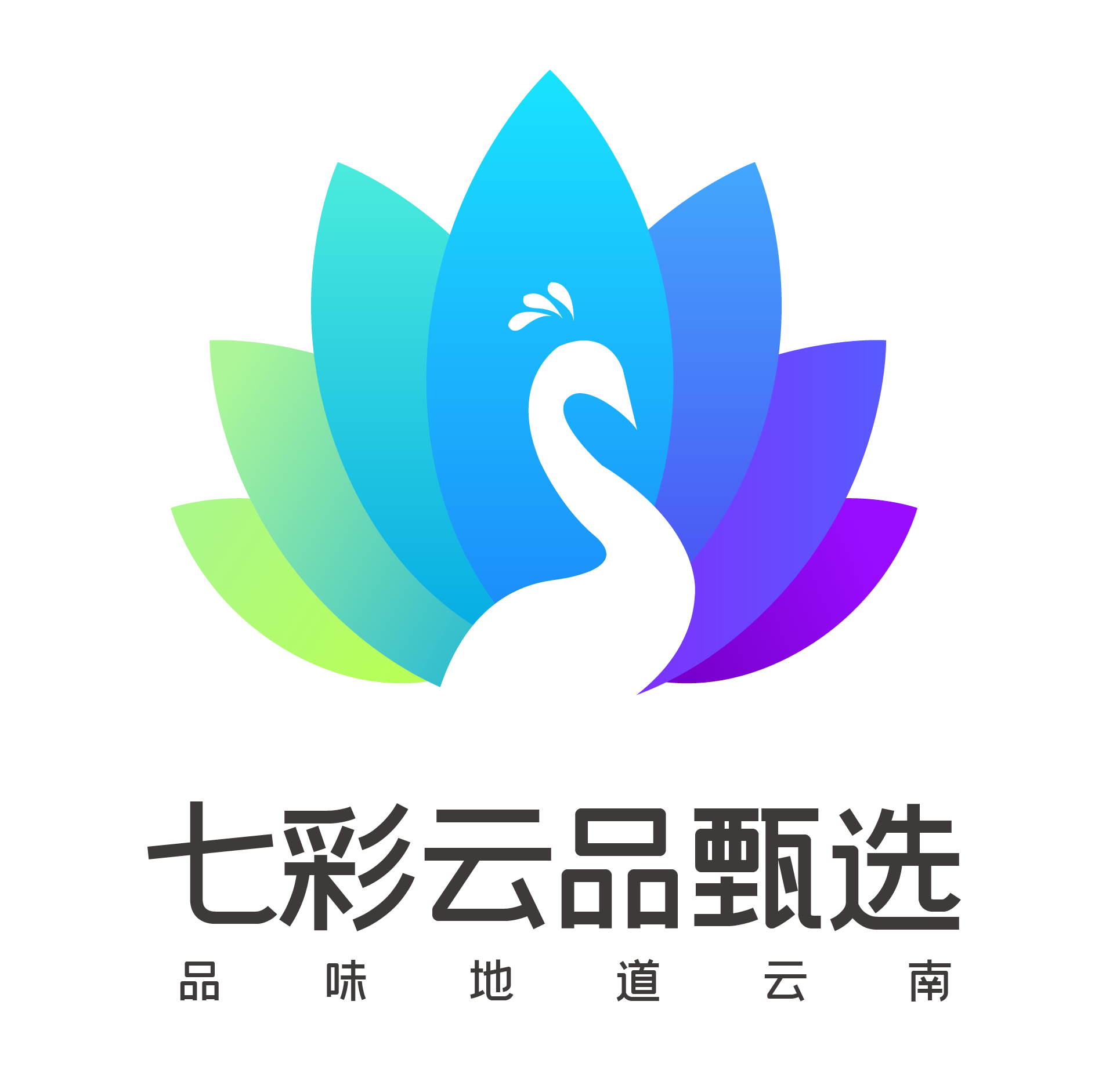 七彩云品甄选250508250515