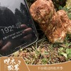 운남 샹그리라 자연산송이버섯 云南 香格里拉 呷木松茸 商品缩略图2