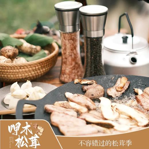운남 샹그리라 자연산송이버섯 云南 香格里拉 呷木松茸 商品图7