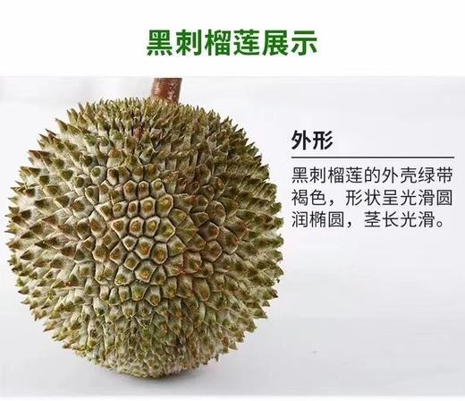 马来西亚“液氮”黑刺榴莲-产量很低，口感香糯甜，焦糖甜，冰淇淋般细腻丝滑，微微回苦 商品图6
