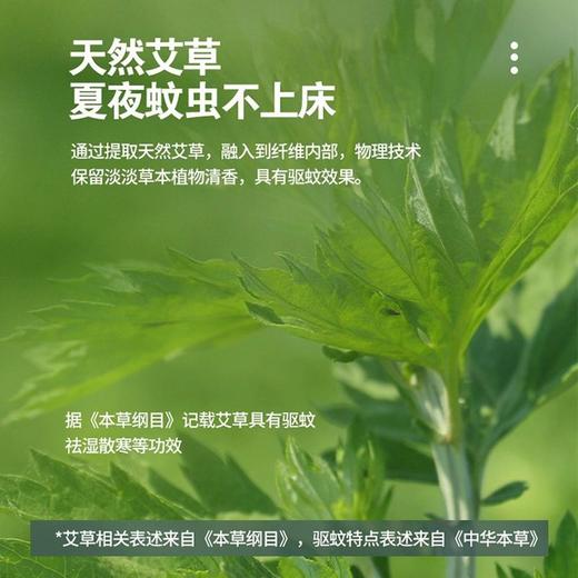 艾草驱蚊席古藤席家用宿舍空调软席可折叠宿舍凉席 商品图4