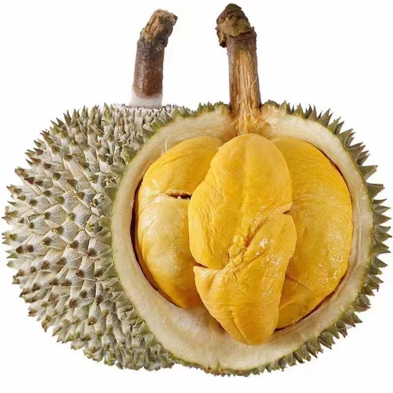 马来西亚“液氮”黑刺榴莲-产量很低，口感香糯甜，焦糖甜，冰淇淋般细腻丝滑，微微回苦