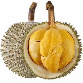 马来西亚“液氮”黑刺榴莲-产量很低，口感香糯甜，焦糖甜，冰淇淋般细腻丝滑，微微回苦