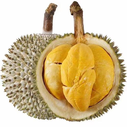 马来西亚“液氮”黑刺榴莲-产量很低，口感香糯甜，焦糖甜，冰淇淋般细腻丝滑，微微回苦 商品图0