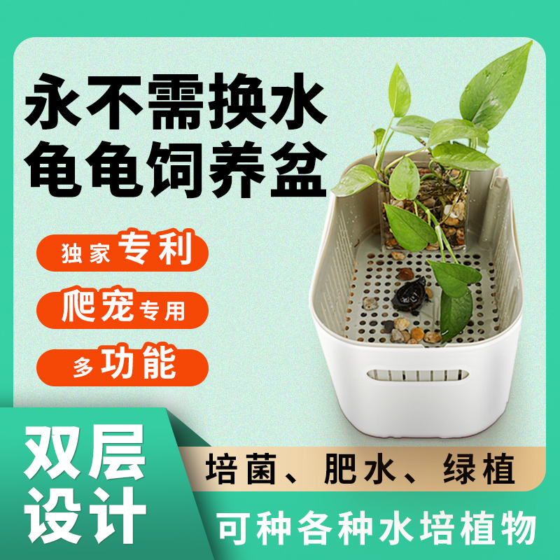 【永不需换水】乌龟饲养护育盆龟苗饲养，乌龟发色盒隔离盒，冬眠保湿保温盒