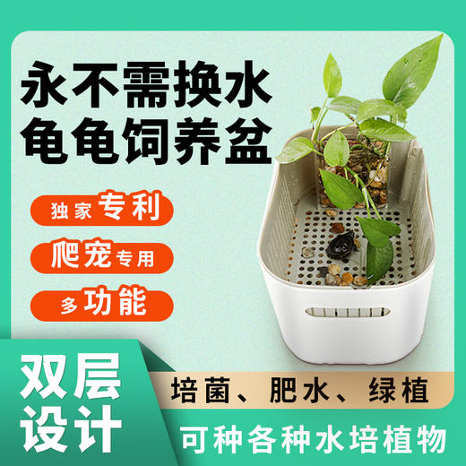 【永不需换水】乌龟饲养护育盆龟苗饲养，乌龟发色盒隔离盒，冬眠保湿保温盒 商品图0