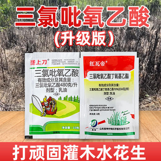 三氯吡氧乙酸水花生灌木恶性阔叶杂草藤蔓强力烂根除草剂农药 商品图1