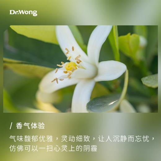 苦橙花 单方精油 商品图1