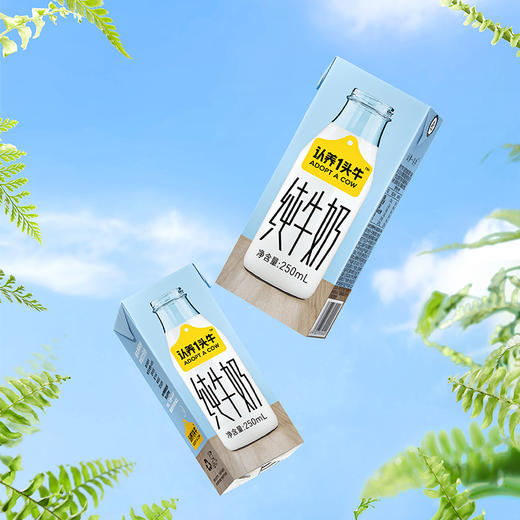 认养一头牛全脂纯牛奶200ml（8A) 商品图3