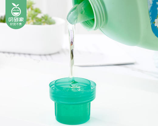 白蘭清新白茶柔软护衣洗衣精/1箱（3kg*4瓶） 商品图2