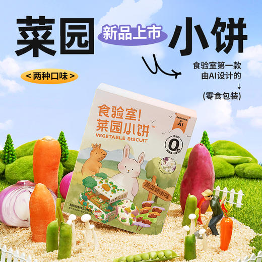 【食验室合集】面包丁、玉米片、五黑雪饼、爆米花、巧克力香橙片、菜园小饼等~ 商品图5