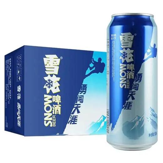 雪花啤酒勇闯天涯500ml*8听/箱【LY】 商品图0