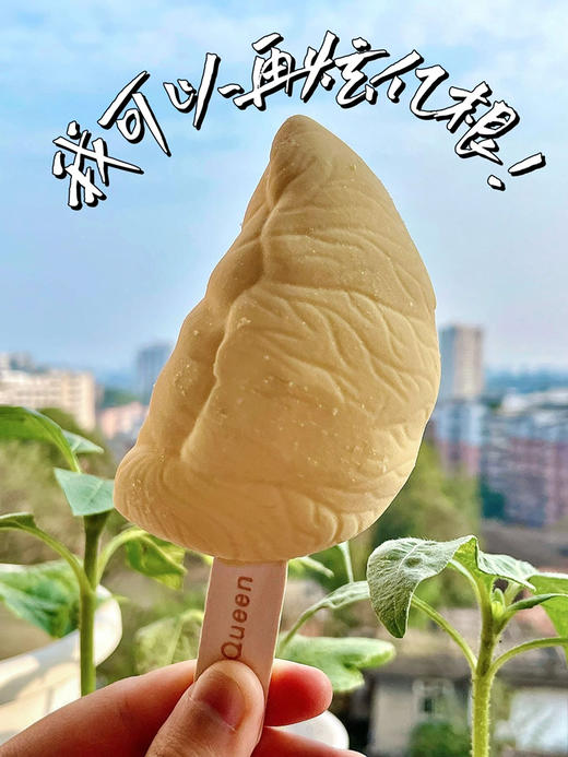 Duria雪糕 商品图6
