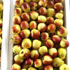 大荔冬枣普通果(彩箱装）大果17至20克，5斤装 商品缩略图7