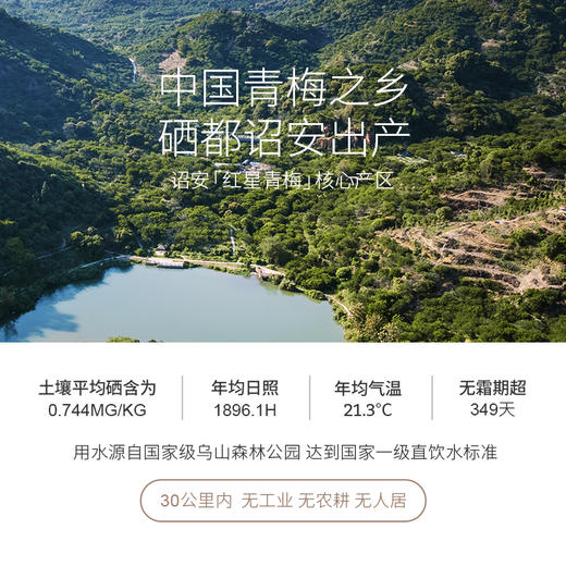 直播【高端品鉴】紫梅山纯发酵青梅酒- 干型 375ml/500ml 14.5~15.5° 商品图2