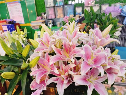 粉百合3支 商品图0