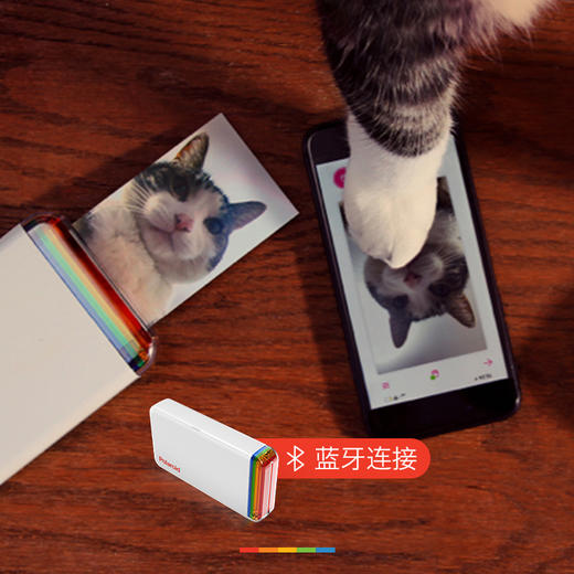 Polaroid/宝丽来 口袋照片打印机 2X3 商品图3