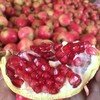 【秒杀】突尼斯软籽石榴约5斤（6粒） 商品缩略图4