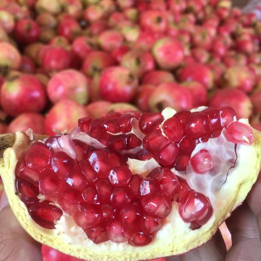 【秒杀】突尼斯软籽石榴约5斤（6粒） 商品图4