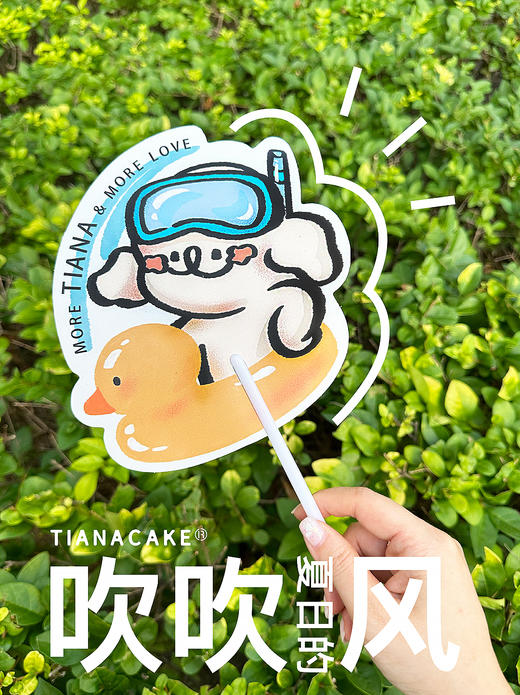 夏日的风 商品图0