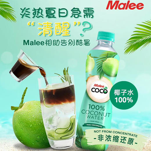 泰国玛丽COCO牌椰子水350ml/020601 无任何添加富含电解质口感清爽 商品图1