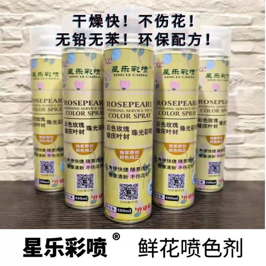 鲜花喷色剂彩喷--星乐 A 商品图0