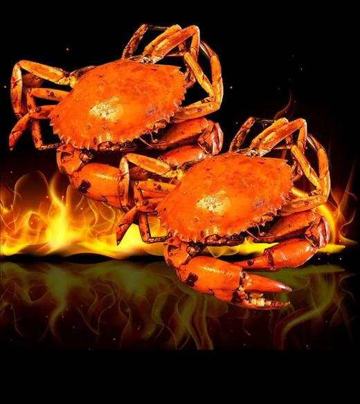 【8两非洲青蟹】中号蟹 商品图0