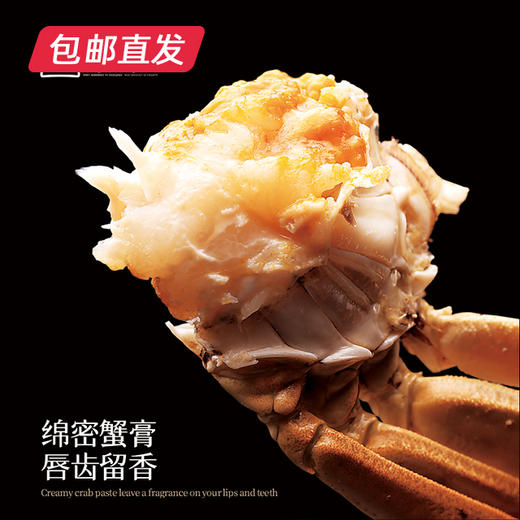 金世尊1588型大闸蟹卡券【LY】【包邮直发】（ZB） 商品图2