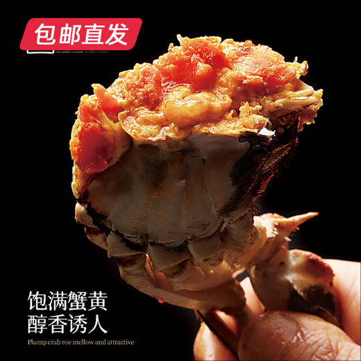 金世尊1588型大闸蟹卡券【LY】【包邮直发】（ZB） 商品图1