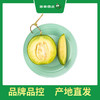 百果园 玫珑蜜瓜2粒普通装（单果重≥900g，净重4-4.5斤） 商品缩略图6