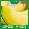 百果园 玫珑蜜瓜2粒普通装（单果重≥900g，净重4-4.5斤） 商品缩略图3