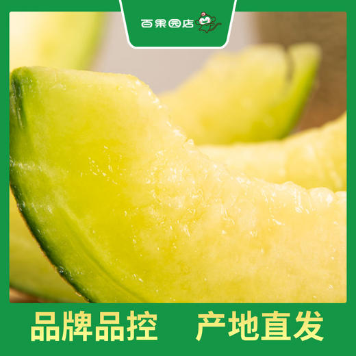 百果园 玫珑蜜瓜2粒普通装（单果重≥900g，净重4-4.5斤） 商品图3