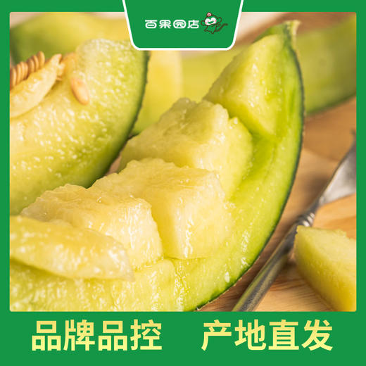 百果园 玫珑蜜瓜2粒普通装（单果重≥900g，净重4-4.5斤） 商品图5