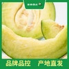 百果园 玫珑蜜瓜2粒普通装（单果重≥900g，净重4-4.5斤） 商品缩略图4