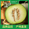 百果园 玫珑蜜瓜2粒普通装（单果重≥900g，净重4-4.5斤） 商品缩略图7