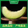 百果园 玫珑蜜瓜2粒普通装（单果重≥900g，净重4-4.5斤） 商品缩略图10