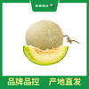 百果园 玫珑蜜瓜2粒普通装（单果重≥900g，净重4-4.5斤） 商品缩略图8