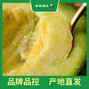 百果园 玫珑蜜瓜2粒普通装（单果重≥900g，净重4-4.5斤） 商品缩略图2