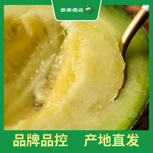 百果园 玫珑蜜瓜2粒普通装（单果重≥900g，净重4-4.5斤） 商品图2